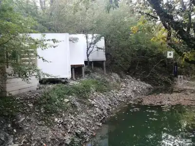 Дикий - 16