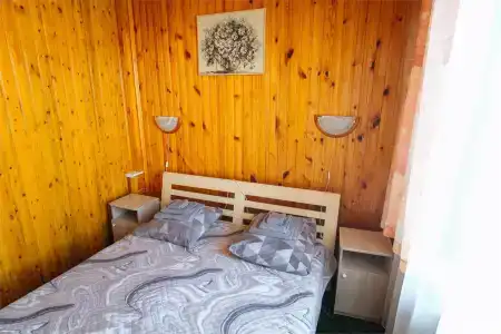 Сосновый бор - 133