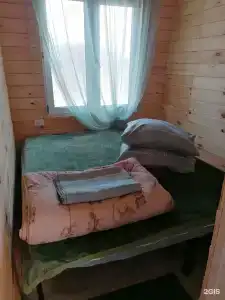 Янтарная - 113