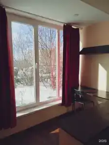 Снегири - 58