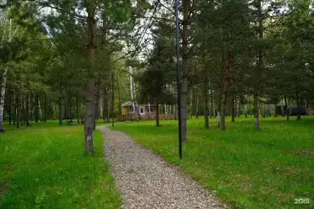 Золотой Куркозель - 23