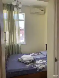 Мушмула - 24