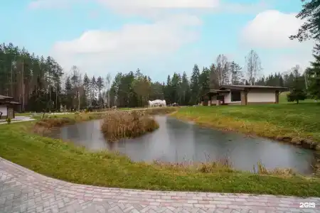 ГлинтВуд - 26