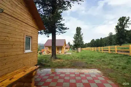Золотой Кедр - 239