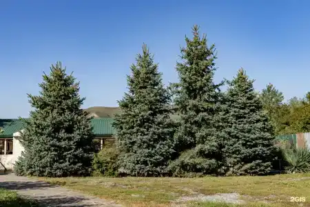 Загородный дом у озера Бекан - 43