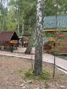 Белая сова - 153