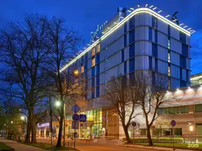 Radisson Blu Hotel - 38