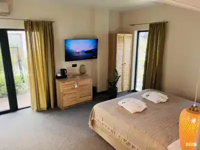 Little Palm - 15