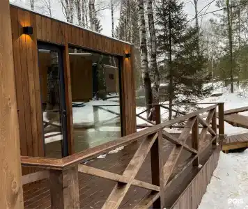 Снежные гуси - 49