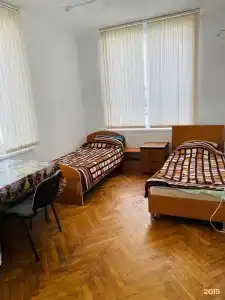 Балтийский лес - 13