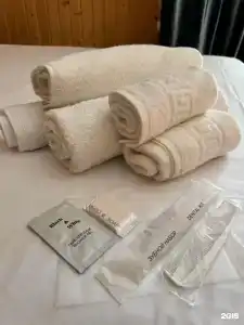 Ель - 25