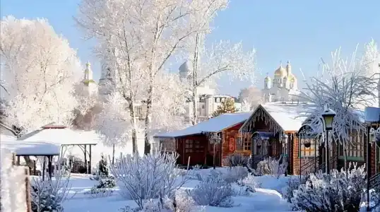 Дивный дворик - 93