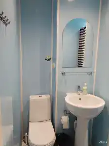 Снегири - 30