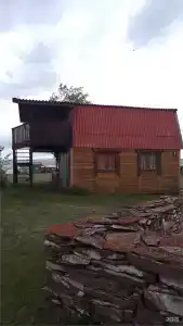 Соль - 313