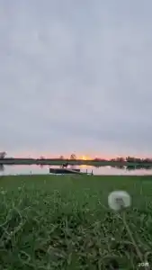 Таловиночка - 55