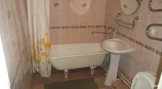 Кедр - 25