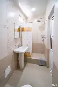 Киви и Цитрус - 100