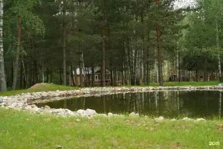 Золотой Куркозель - 25