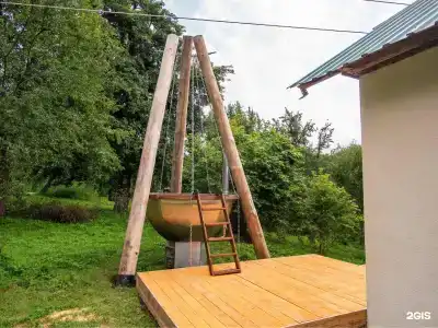 Груша - 25
