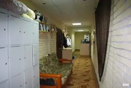 Панда - 16