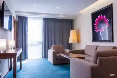 Radisson Blu Hotel - 37