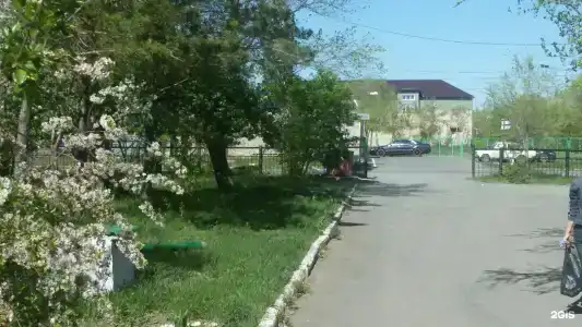 Ромашка - 17