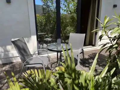 Little Palm - 42