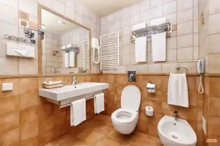 Old Estate Hotel & SPA - 223