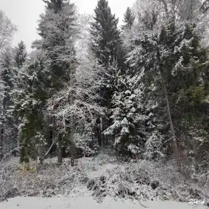 Инкерилофт - 19