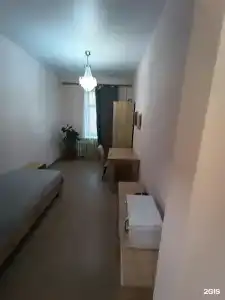 Эвкалипт - 43