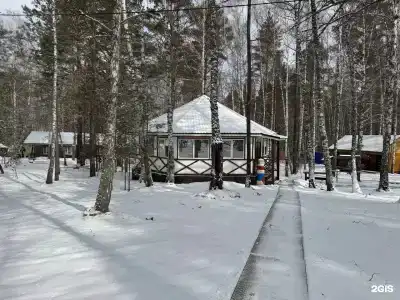 Белая сова - 277