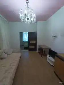 Эвкалипт - 49