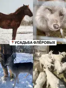 Дорские просторы - 83