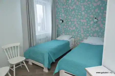 Голубино - 29
