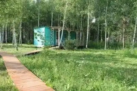 Лесной сон - 74