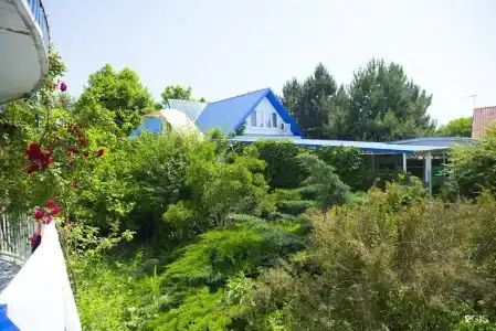 Слава - 3