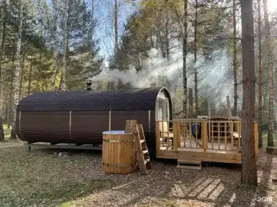 Золотой Куркозель - 30
