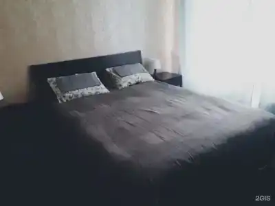 Фикус - 13
