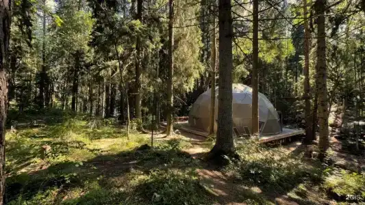 Villy Uley Karelia (Вили Улей Карелия) - 40