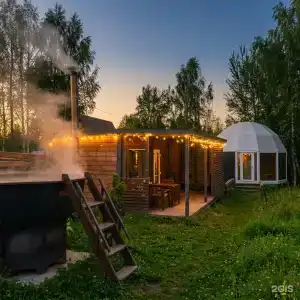 Берёзовая роща - 162