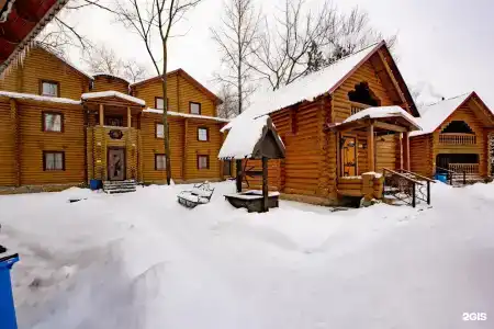Чайка - 31