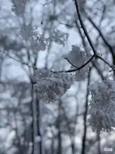 Южный Причал - 2