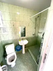 Аллиот - 56