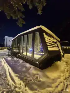 Стая в Солнечной - 14
