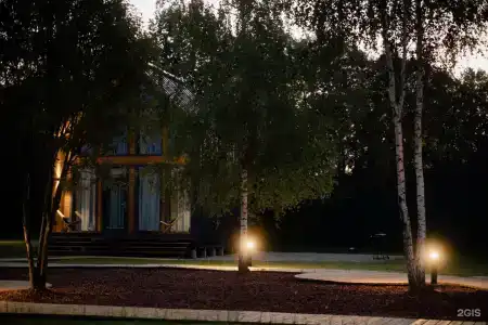 Хвоя - 55