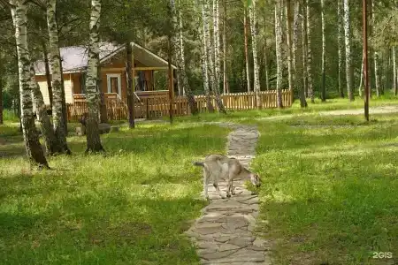 Золотой Куркозель - 26