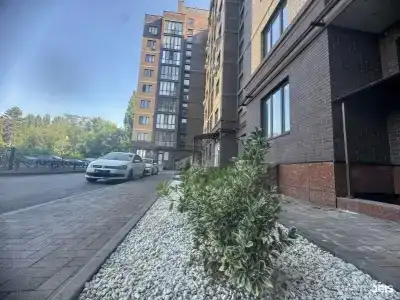 Свои - 561