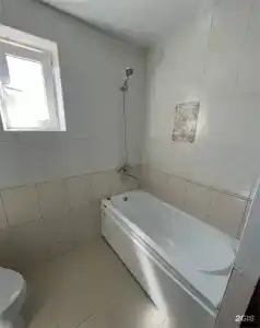 Березка - 172