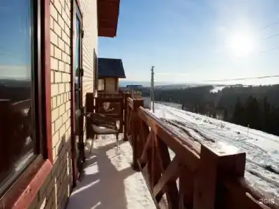 Снегири - 55