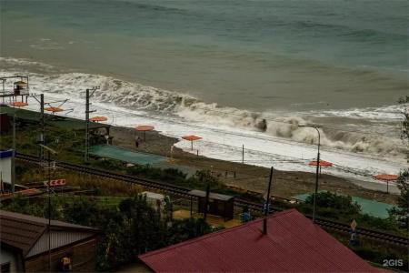 Регилия - 259